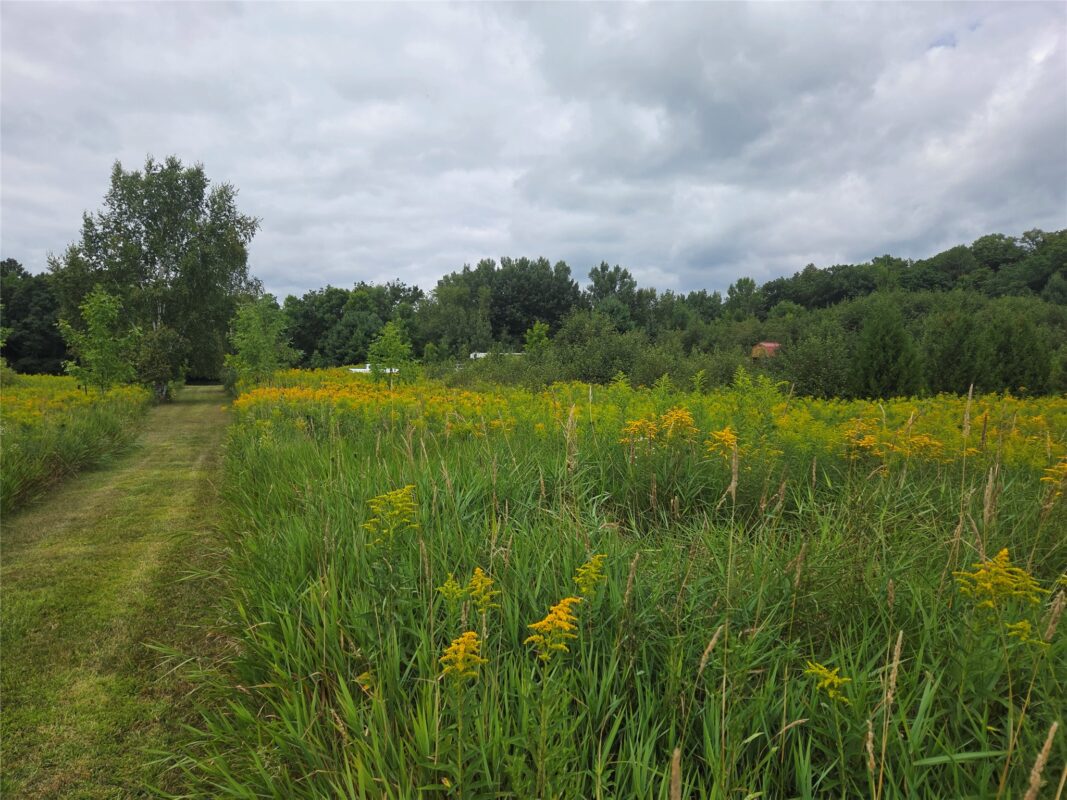 2979 12th Street, Barronett WI 54813 - Land house for sale - MLS #1604225 - image2
