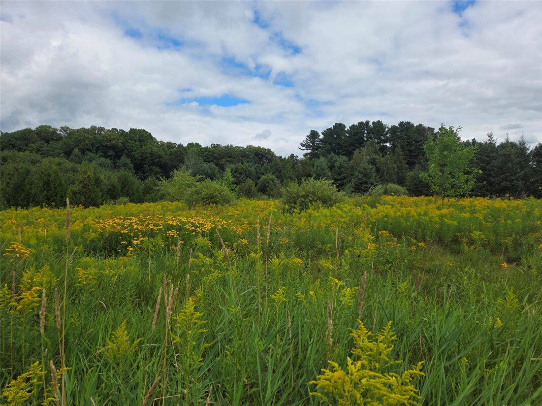 2979 12th Street, Barronett WI 54813 - Land house for sale - MLS #1604225 - image24