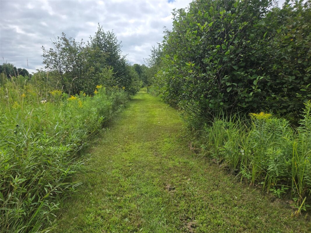 2979 12th Street, Barronett WI 54813 - Land house for sale - MLS #1604225 - image25