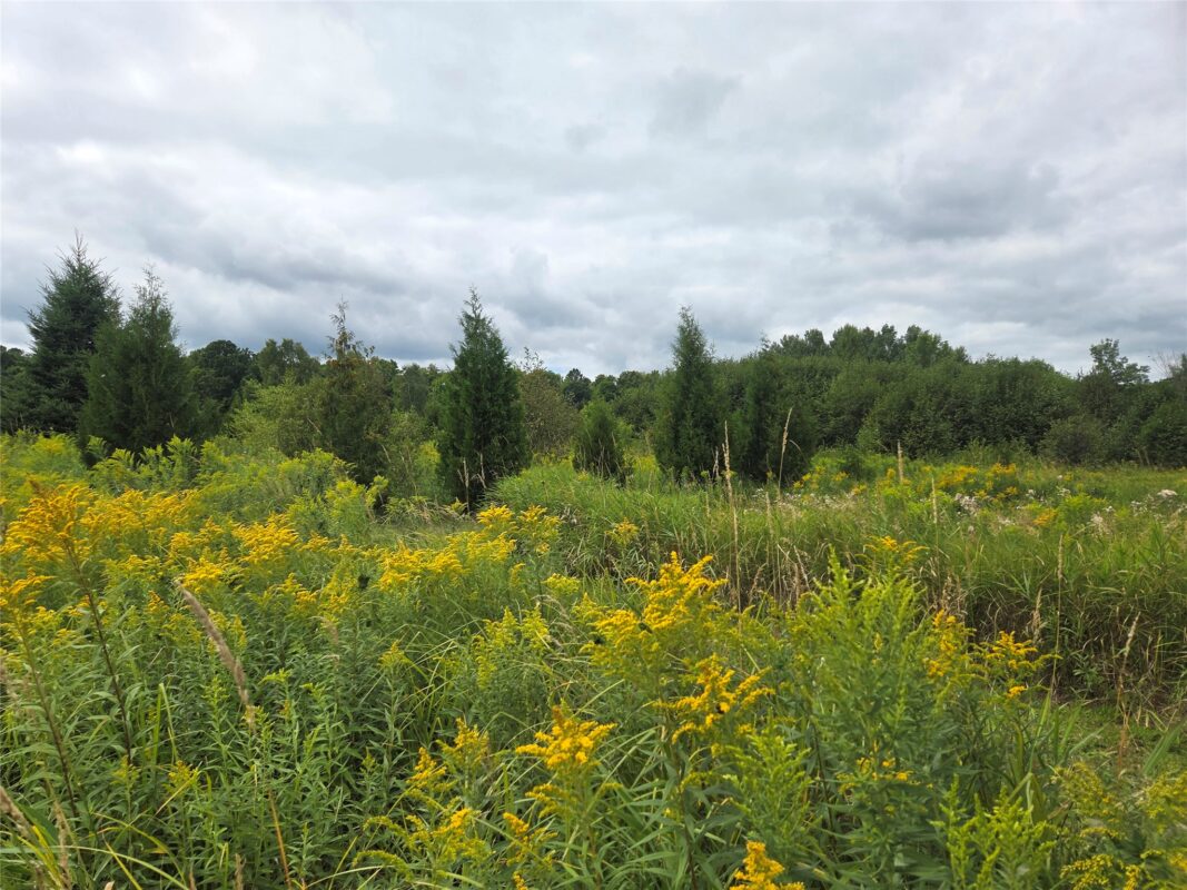 2979 12th Street, Barronett WI 54813 - Land house for sale - MLS #1604225 - image26