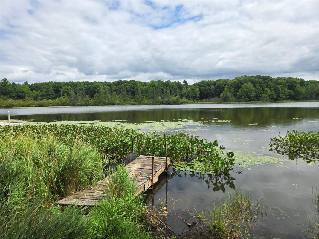 2979 12th Street, Barronett WI 54813 - Land house for sale - MLS #1604225 - image28