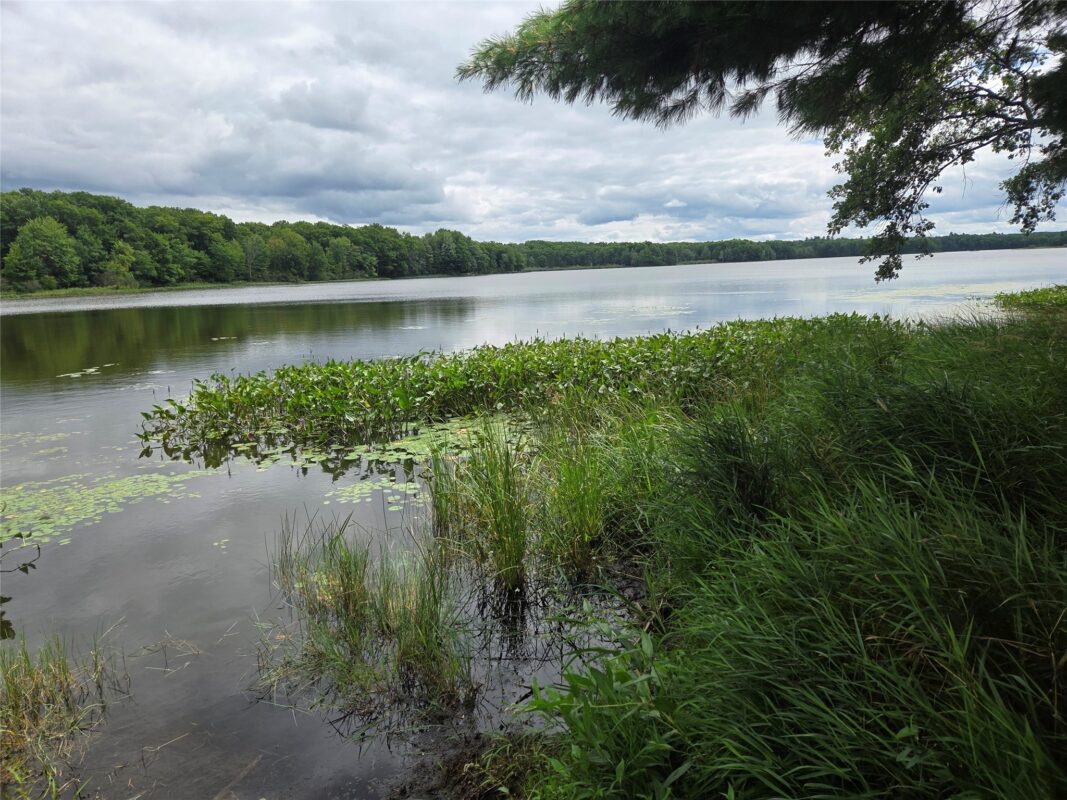 2979 12th Street, Barronett WI 54813 - Land house for sale - MLS #1604225 - image29
