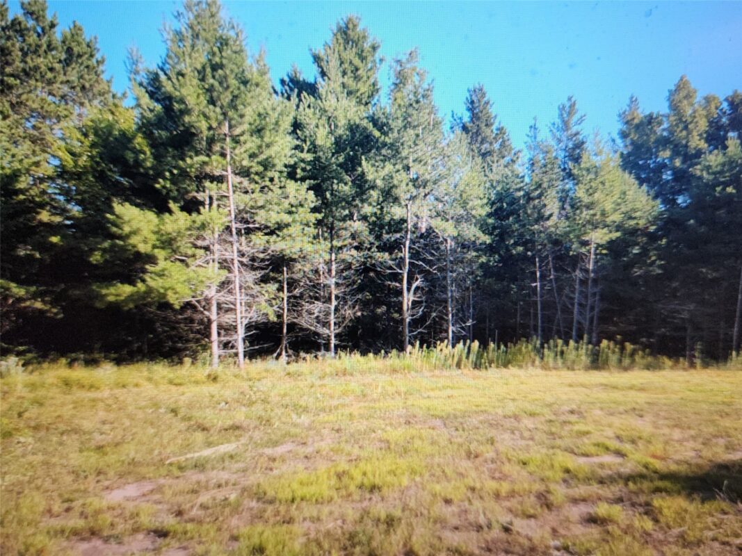 3380 US-Hwy 63, Springbrook WI 54875 - Land house for sale - MLS #1603916 - image11