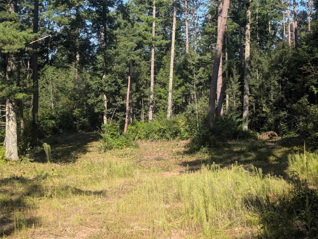 3380 US-Hwy 63, Springbrook WI 54875 - Land house for sale - MLS #1603916 - image3