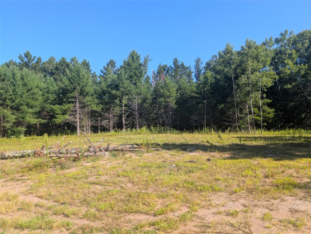 3380 US-Hwy 63, Springbrook WI 54875 - Land house for sale - MLS #1603916 - image4