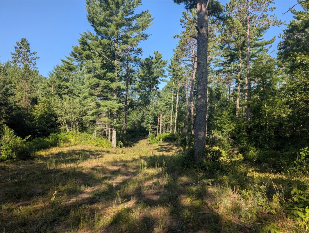 3380 US-Hwy 63, Springbrook WI 54875 - Land house for sale - MLS #1603916 - image6
