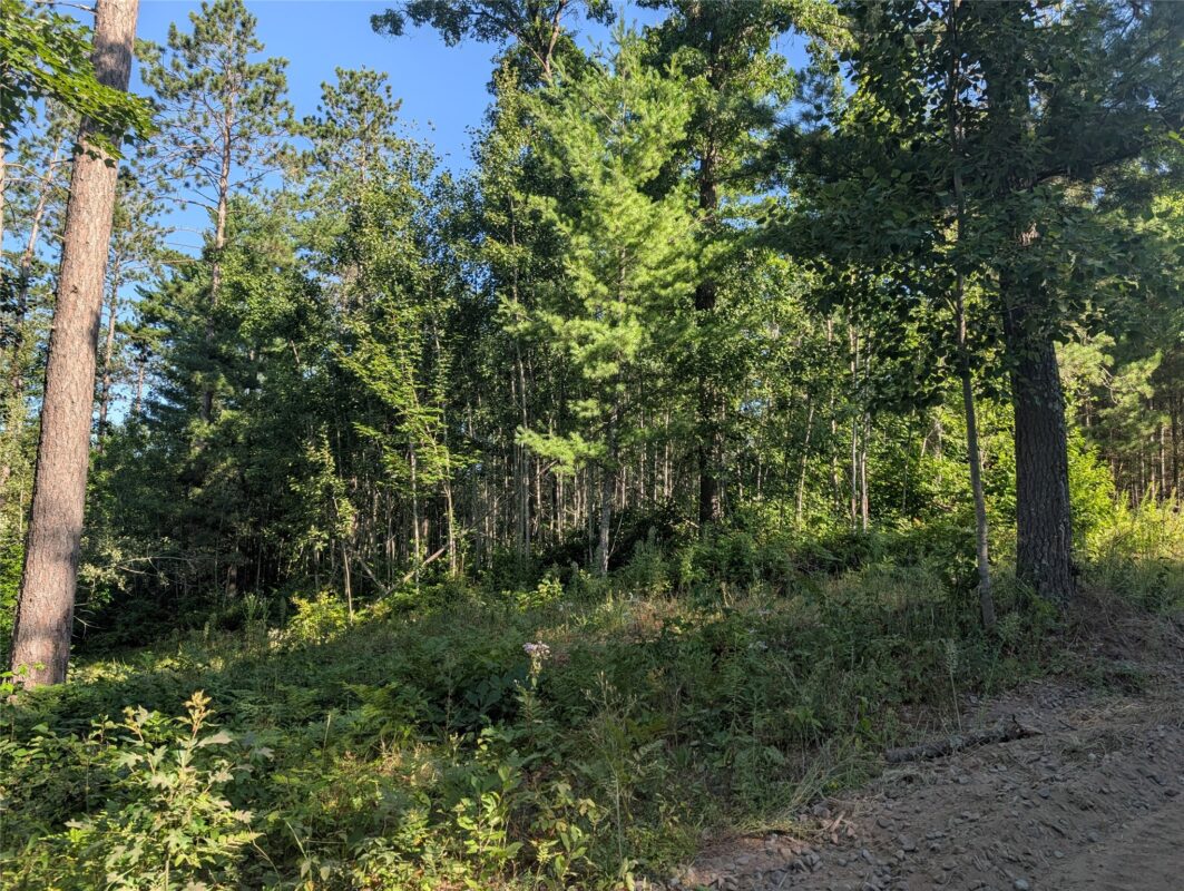 3380 US-Hwy 63, Springbrook WI 54875 - Land house for sale - MLS #1603916 - image7