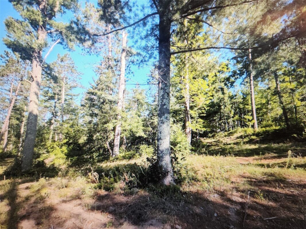 3380 US-Hwy 63, Springbrook WI 54875 - Land house for sale - MLS #1603916 - image10