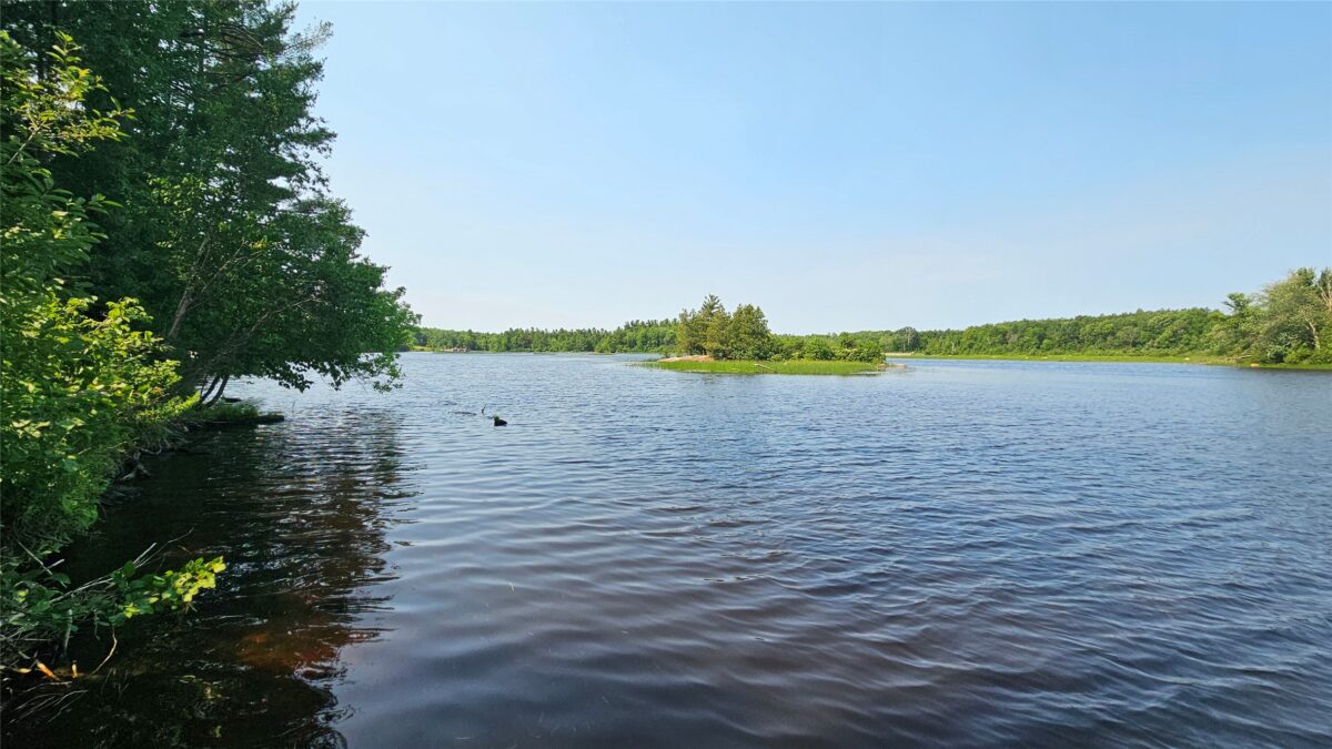 3555 Birch Lane, Radisson WI 54867 - Residential house for sale - MLS #1602789 - image32