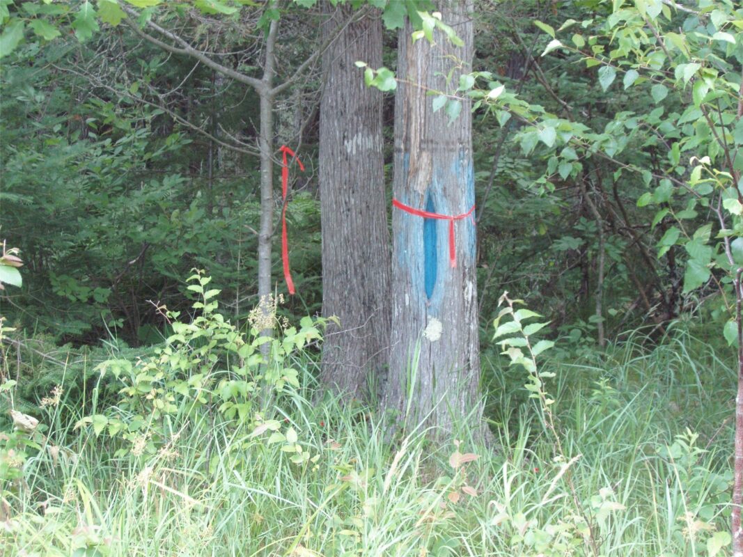 40+/- A ON State Highway 102, Ogema WI 54459 - Land house for sale - MLS #1603800 - image11