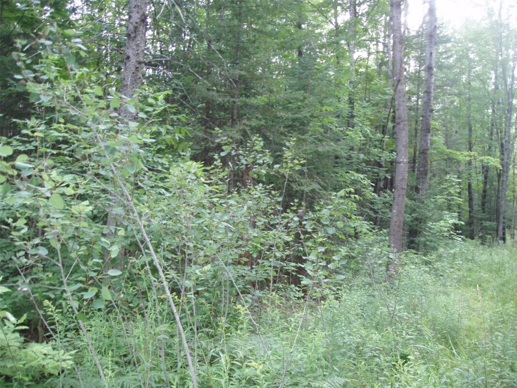 40+/- A ON State Highway 102, Ogema WI 54459 - Land house for sale - MLS #1603800 - image3