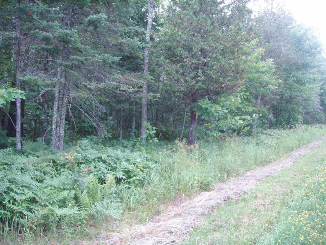 40+/- A ON State Highway 102, Ogema WI 54459 - Land house for sale - MLS #1603800 - image5
