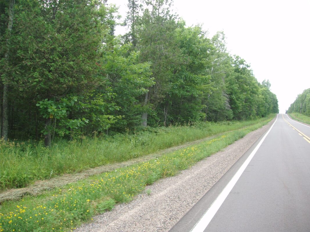 40+/- A ON State Highway 102, Ogema WI 54459 - Land house for sale - MLS #1603800 - image6