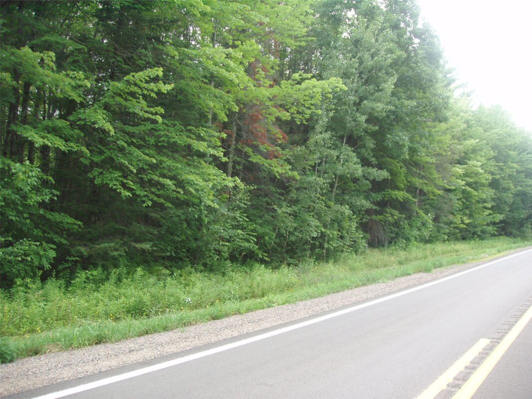 40+/- A ON State Highway 102, Ogema WI 54459 - Land house for sale - MLS #1603800 - image8