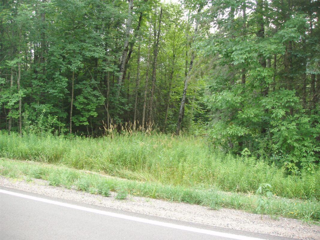 40+/- A ON State Highway 102, Ogema WI 54459 - Land house for sale - MLS #1603800 - image9