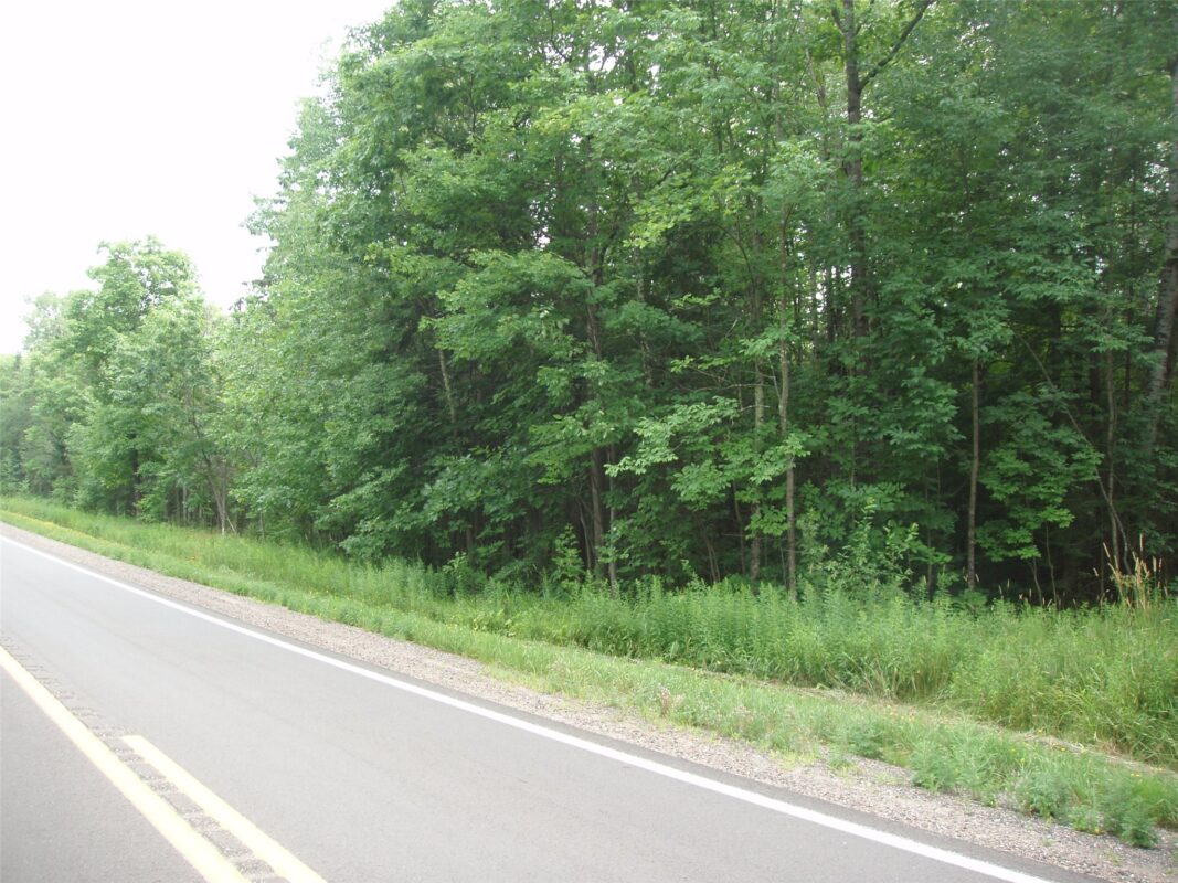 40+/- A ON State Highway 102, Ogema WI 54459 - Land house for sale - MLS #1603800 - image10