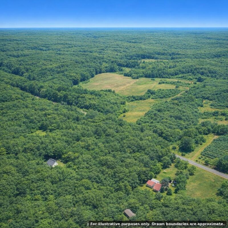 4658 Gaslyn Road, Webster WI 54893 - Land house for sale - MLS #1604217 - image15