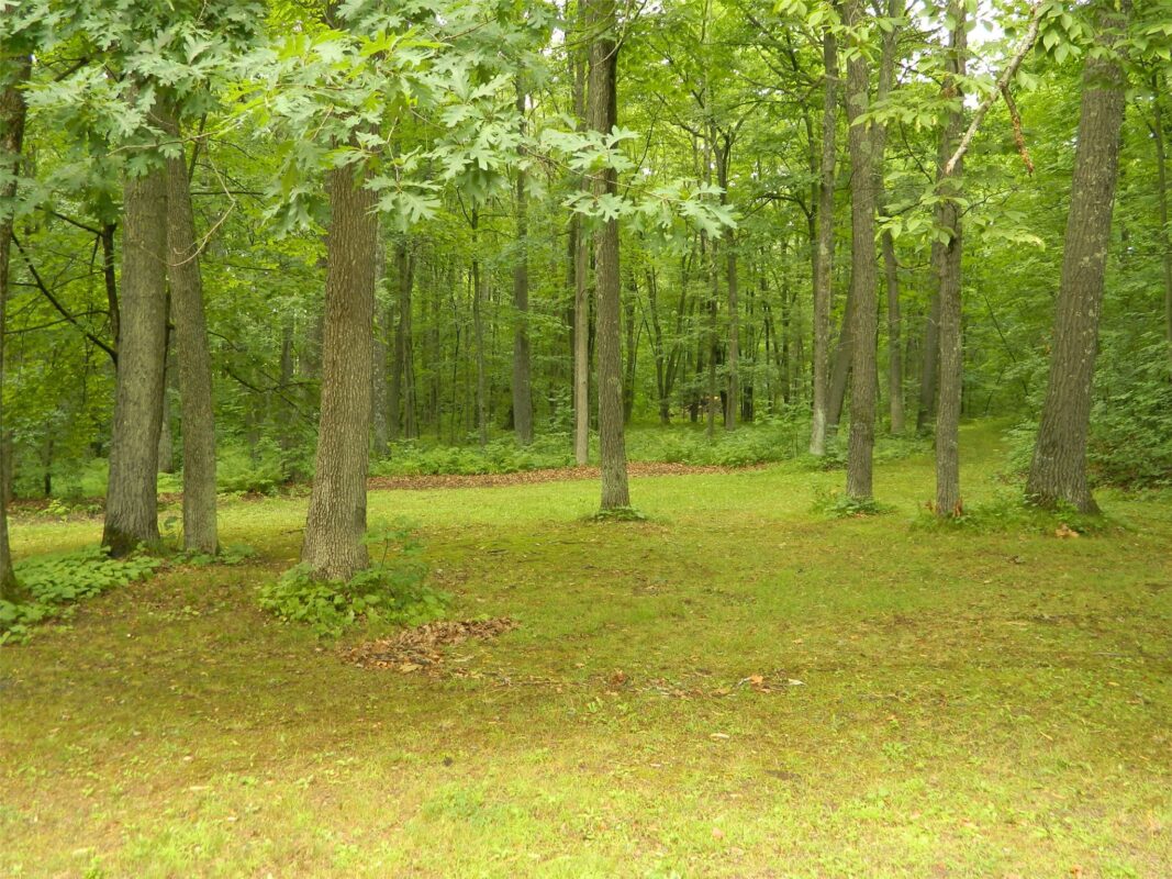 5630 County Highway BB, Stone Lake WI 54876 - Residential house for sale - MLS #1603844 - image10
