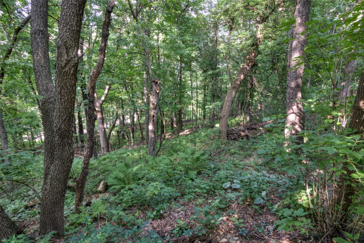 608 Manor Court, Altoona WI 54720 - Residential house for sale - MLS #1603719 - image3