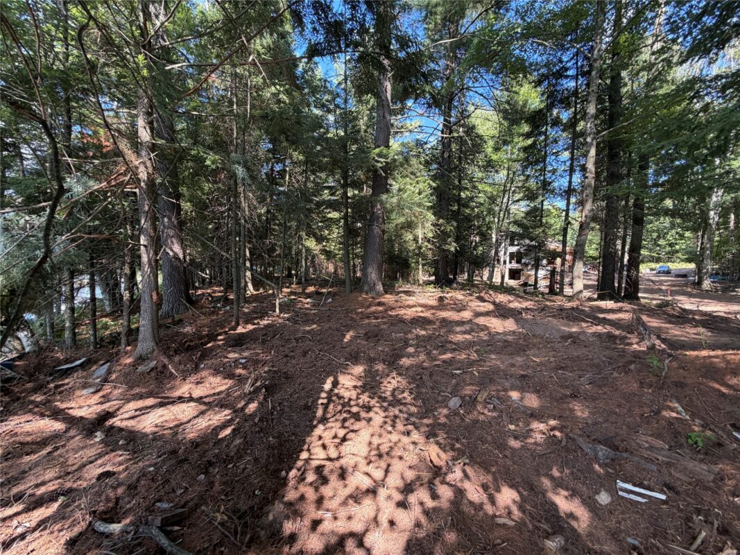 6856W Wolf Island Drive, Hayward WI 54843 - Land house for sale - MLS #1603968 - image11