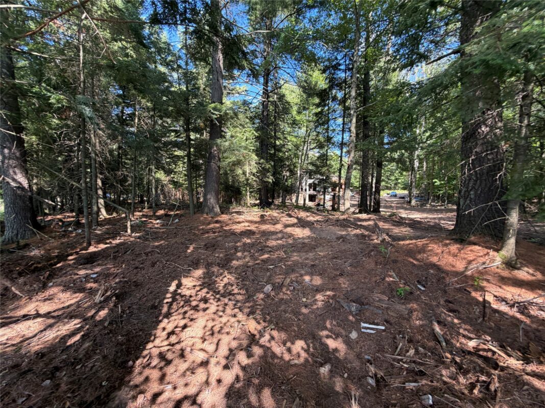 6856W Wolf Island Drive, Hayward WI 54843 - Land house for sale - MLS #1603968 - image12