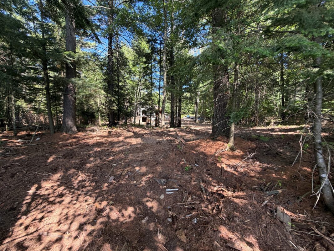 6856W Wolf Island Drive, Hayward WI 54843 - Land house for sale - MLS #1603968 - image13