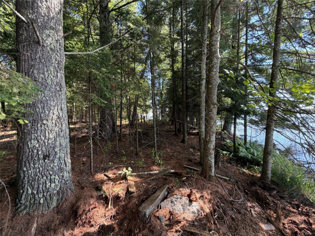 6856W Wolf Island Drive, Hayward WI 54843 - Land house for sale - MLS #1603968 - image14