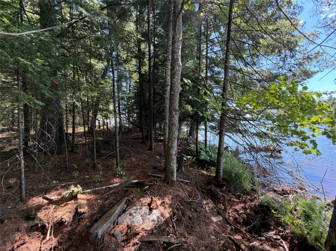 6856W Wolf Island Drive, Hayward WI 54843 - Land house for sale - MLS #1603968 - image15