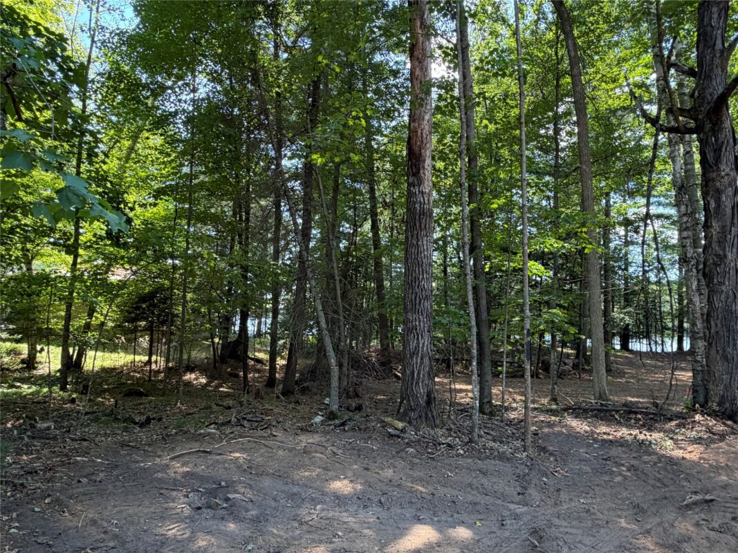6856W Wolf Island Drive, Hayward WI 54843 - Land house for sale - MLS #1603968 - image16
