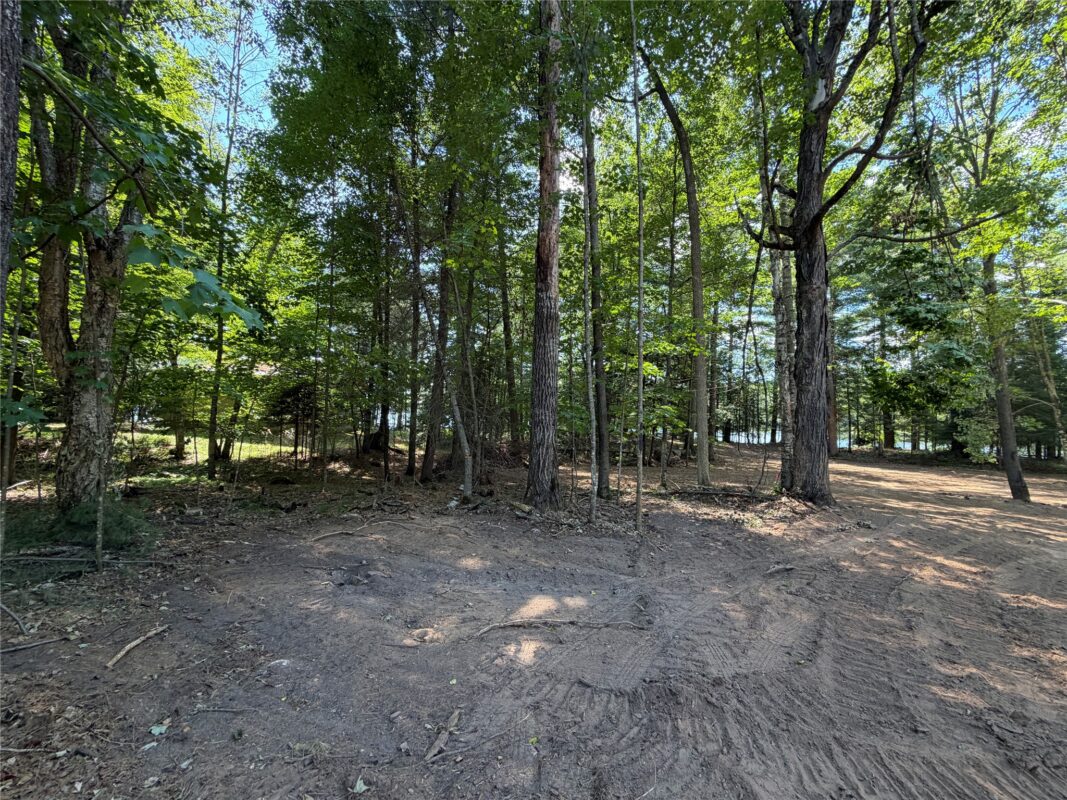 6856W Wolf Island Drive, Hayward WI 54843 - Land house for sale - MLS #1603968 - image17