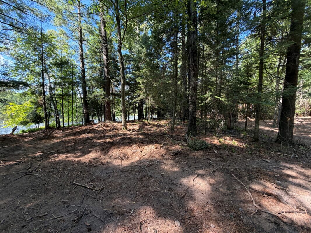 6856W Wolf Island Drive, Hayward WI 54843 - Land house for sale - MLS #1603968 - image23