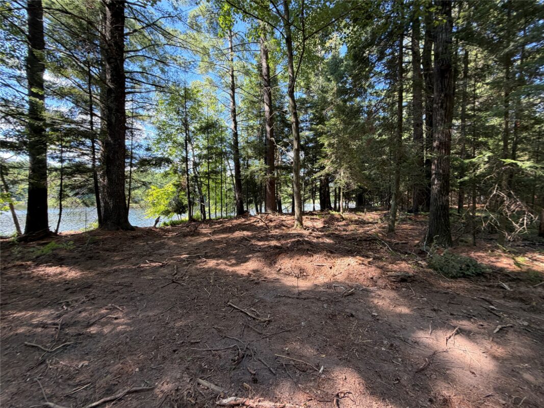 6856W Wolf Island Drive, Hayward WI 54843 - Land house for sale - MLS #1603968 - image24