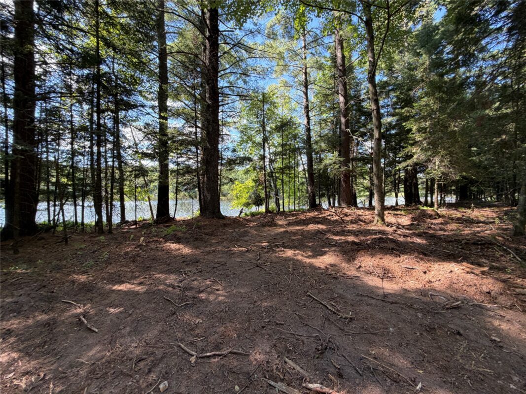 6856W Wolf Island Drive, Hayward WI 54843 - Land house for sale - MLS #1603968 - image25
