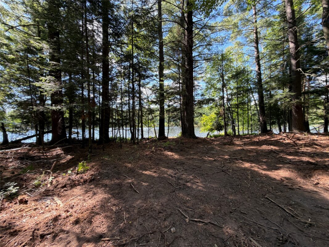 6856W Wolf Island Drive, Hayward WI 54843 - Land house for sale - MLS #1603968 - image26