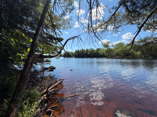 6856W Wolf Island Drive Hayward WI 54843