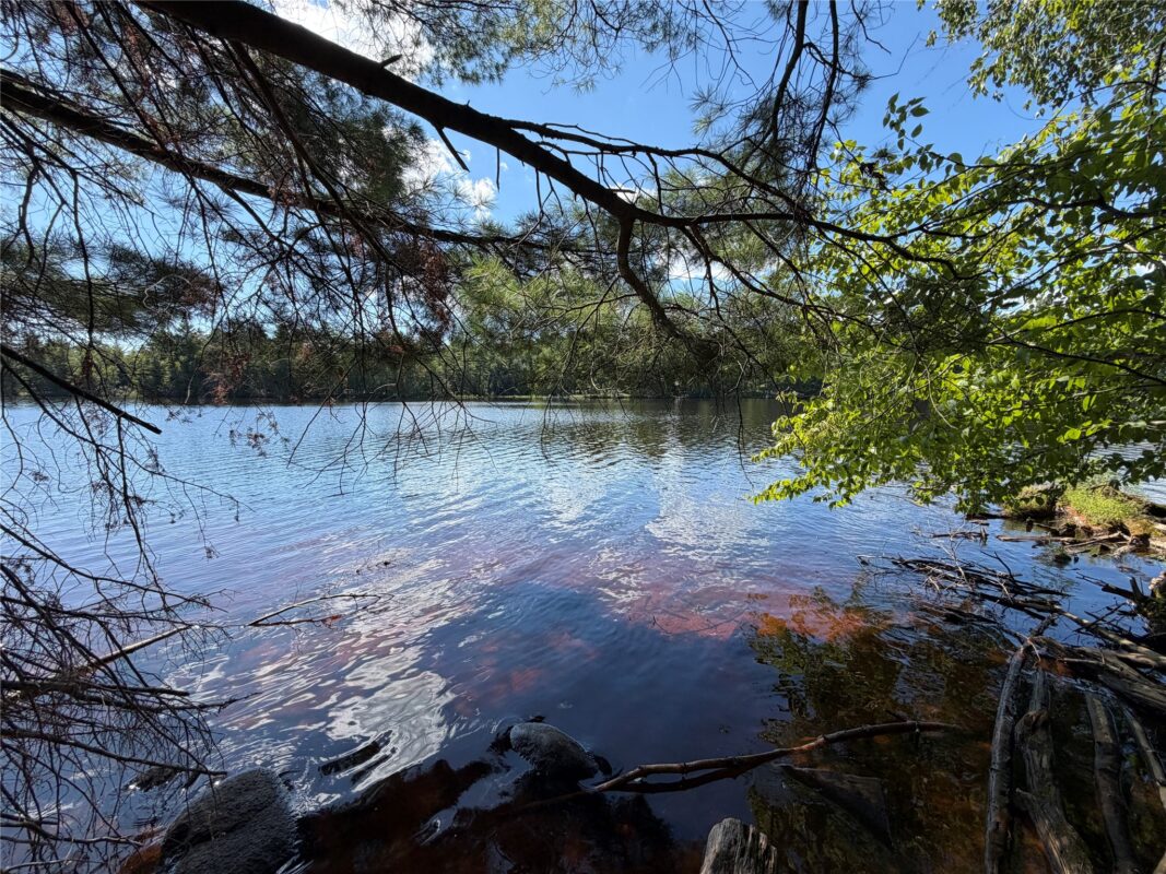 6856W Wolf Island Drive, Hayward WI 54843 - Land house for sale - MLS #1603968 - image8