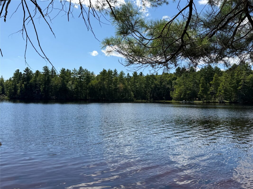 6856W Wolf Island Drive, Hayward WI 54843 - Land house for sale - MLS #1603968 - image9