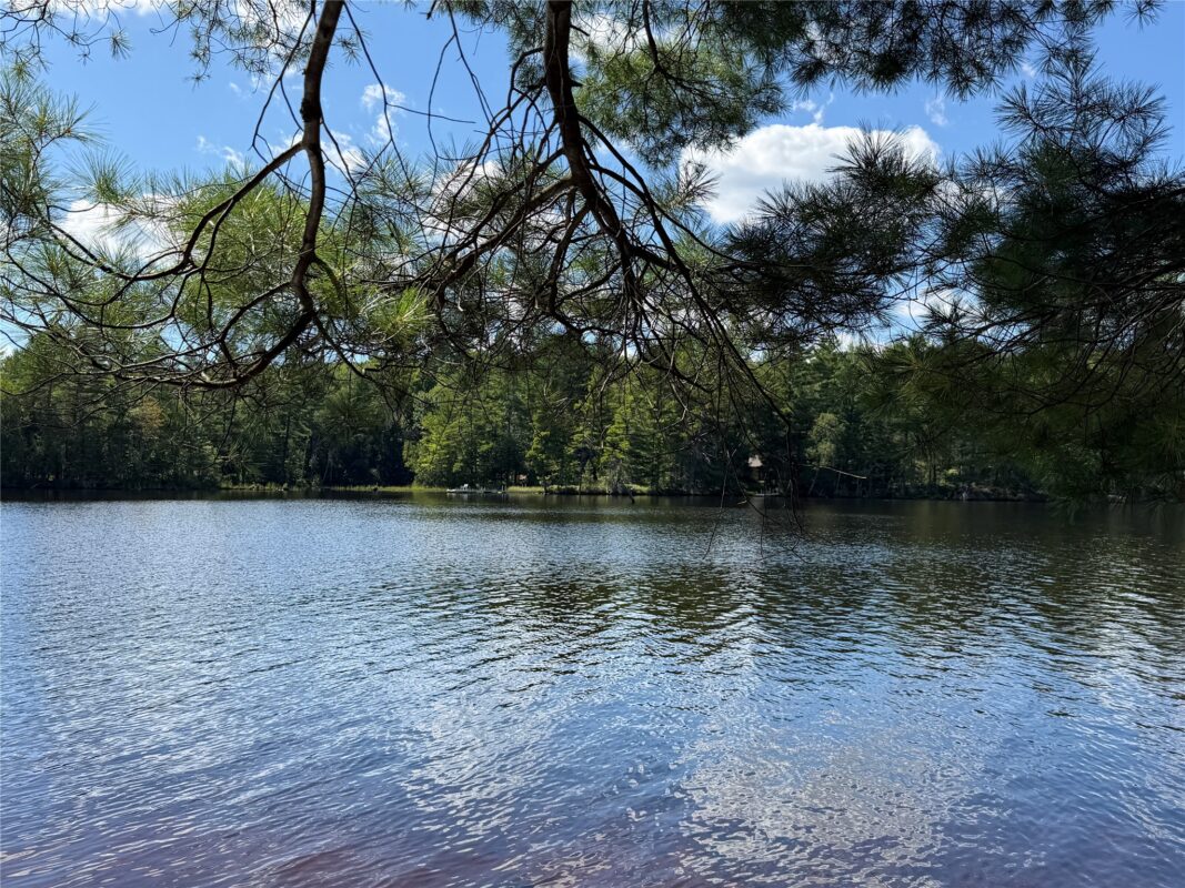 6856W Wolf Island Drive, Hayward WI 54843 - Land house for sale - MLS #1603968 - image10