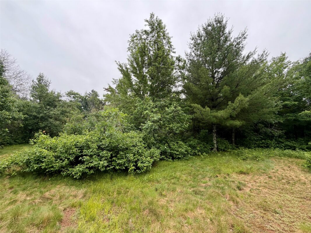 7113 Fire Hill Road, Gordon WI 54838 - Residential house for sale - MLS #1602391 - image7