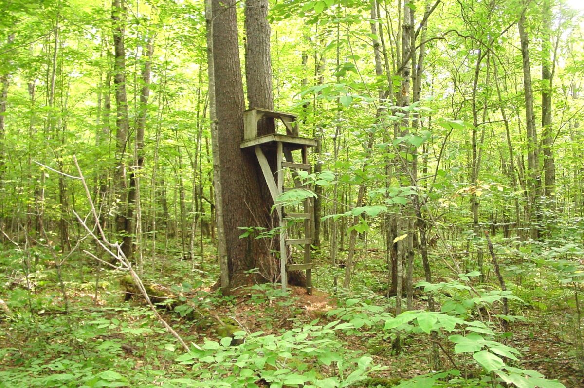 80 Acres on Bailey Road, Bruce WI 54819 - Land house for sale - MLS #1604154 - image26
