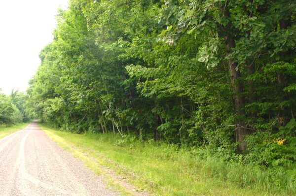 80 Acres on Bailey Road Bruce WI 54819