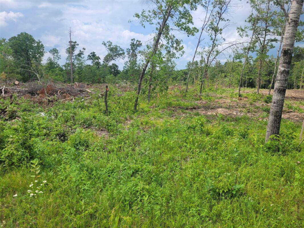 8152 Palm Road, Merrillan WI 54754 - Residential house for sale - MLS #1603911 - image42