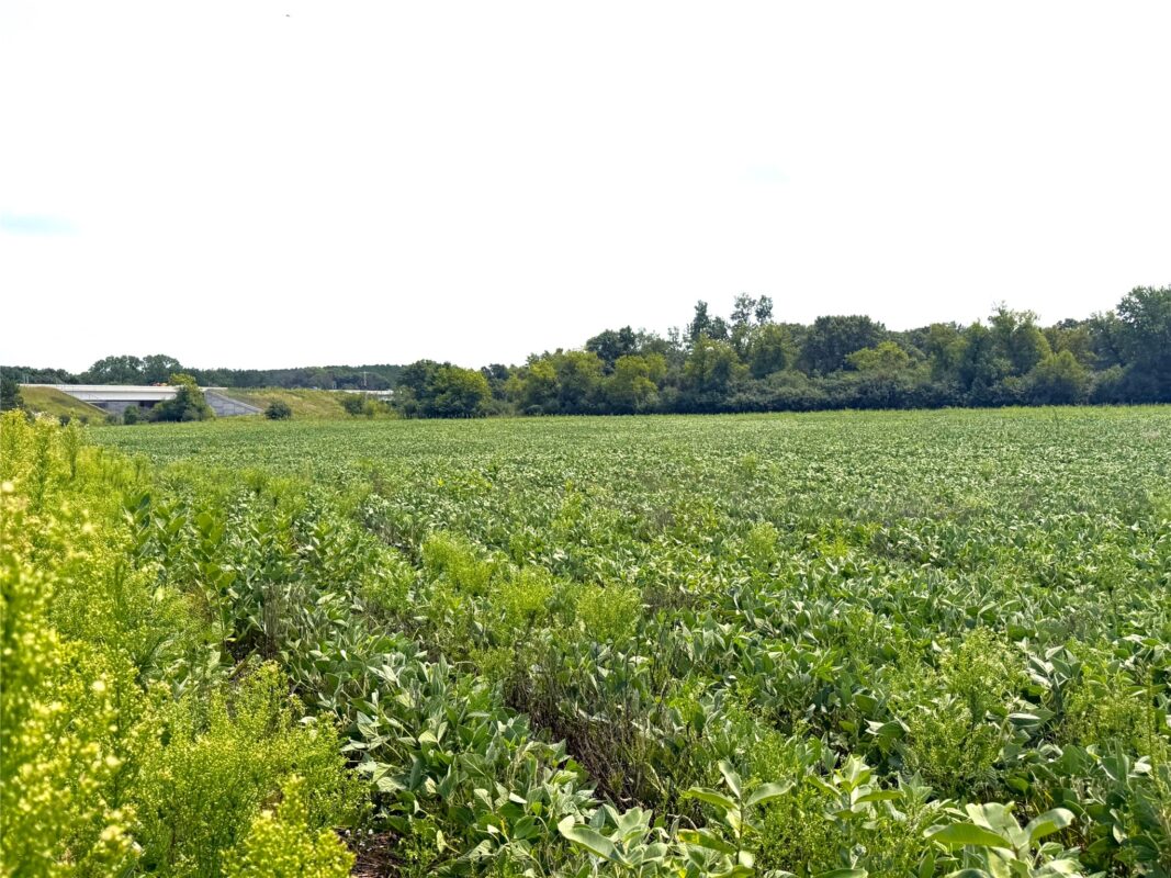 8.28 acres Van Tassel Road, Osseo WI 54758 - CommercialSale house for sale - MLS #1604127 - image7