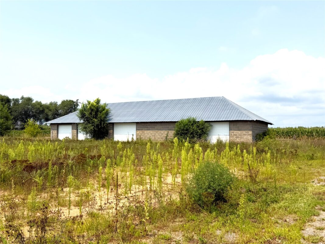 8.28 acres Van Tassel Rd, Osseo WI 54758 - CommercialSale house for sale - MLS #1604127 - image14