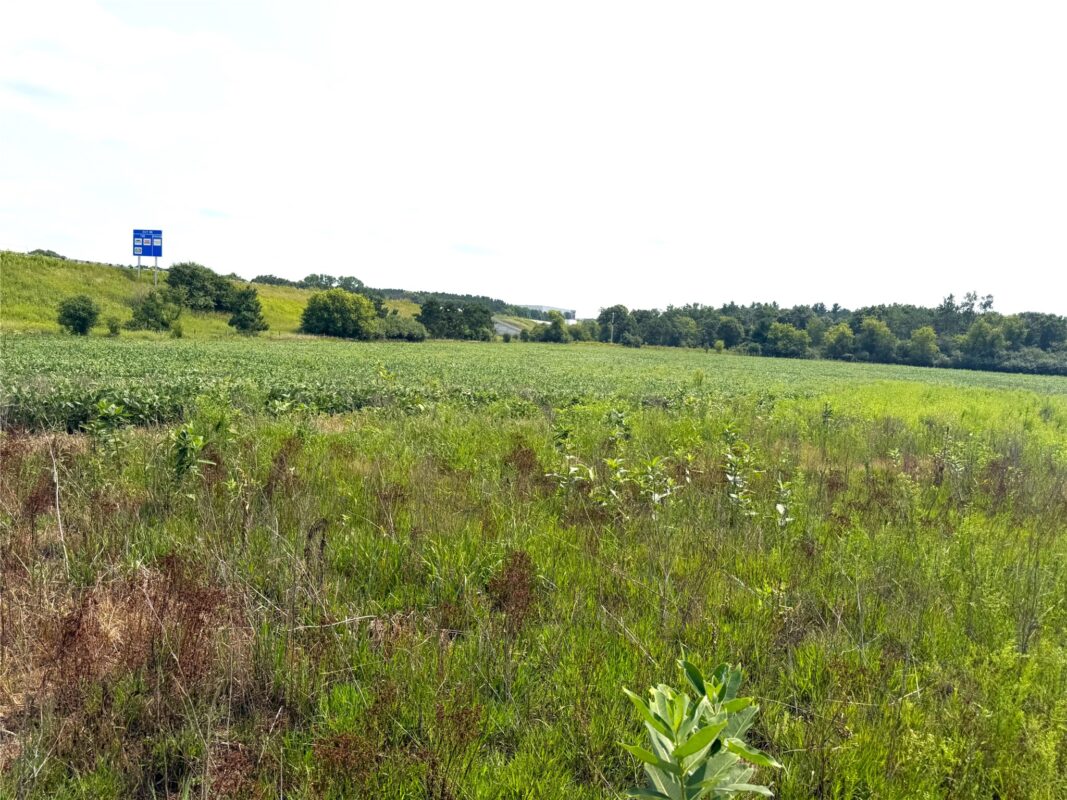8.28 acres Van Tassel Rd, Osseo WI 54758 - CommercialSale house for sale - MLS #1604127 - image21