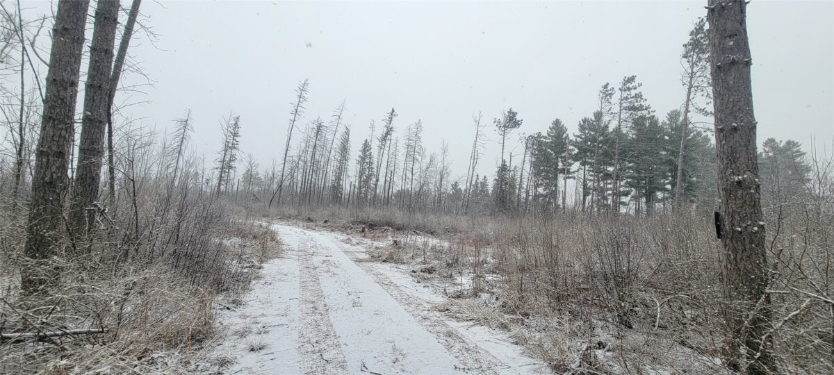 8725W River Road, Ojibwa WI 54862 - Land house for sale - MLS #1599647 - image21