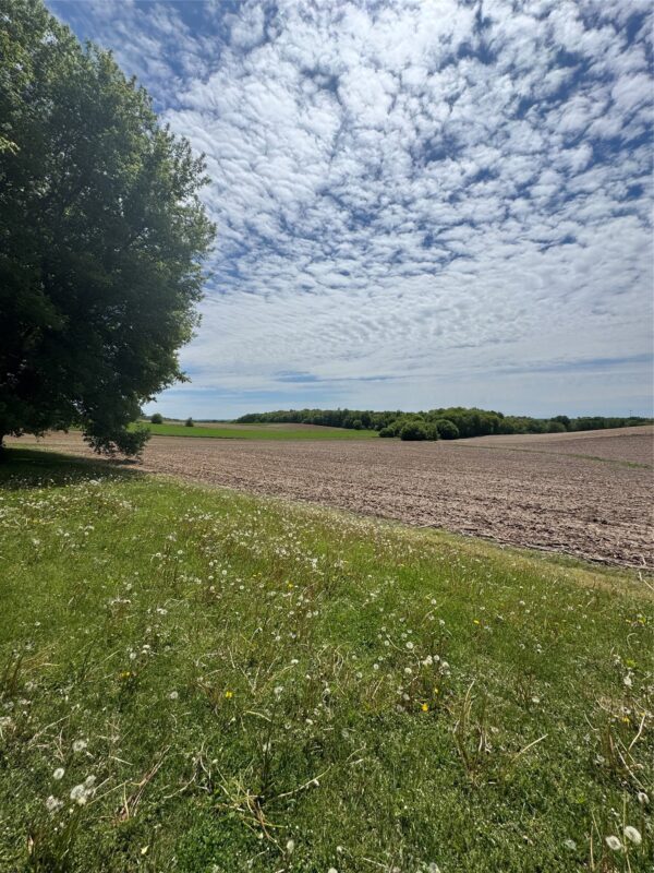 9007 County Highway N, Chippewa Falls WI 54729 - Residential house for sale - MLS #1603516 - image53