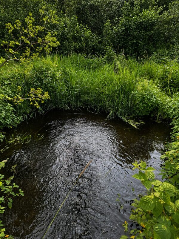 9211 Tripp Road, Springbrook WI 54875 - Land house for sale - MLS #1604159 - image2