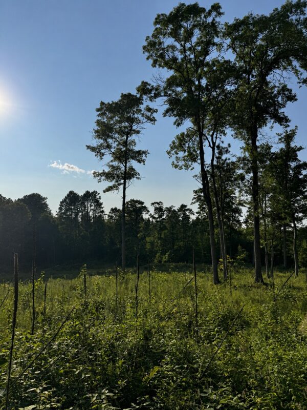 9211 Tripp Road, Springbrook WI 54875 - Land house for sale - MLS #1604159 - image20
