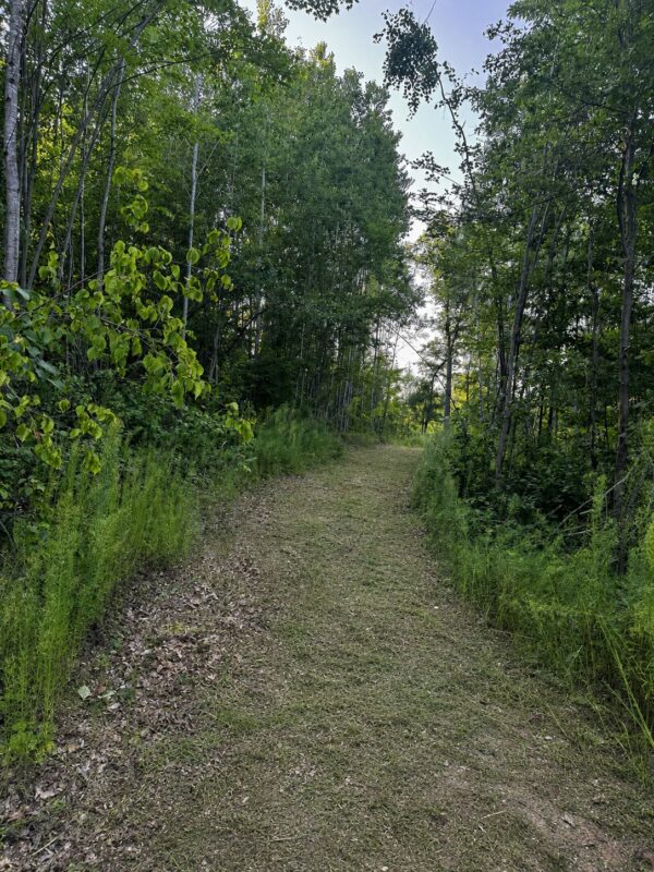 9211 Tripp Road, Springbrook WI 54875 - Land house for sale - MLS #1604159 - image3